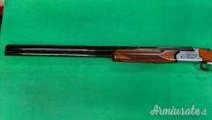 Rizzini Vertex 12