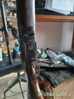 Beretta ase 12