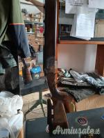 Beretta ase 12