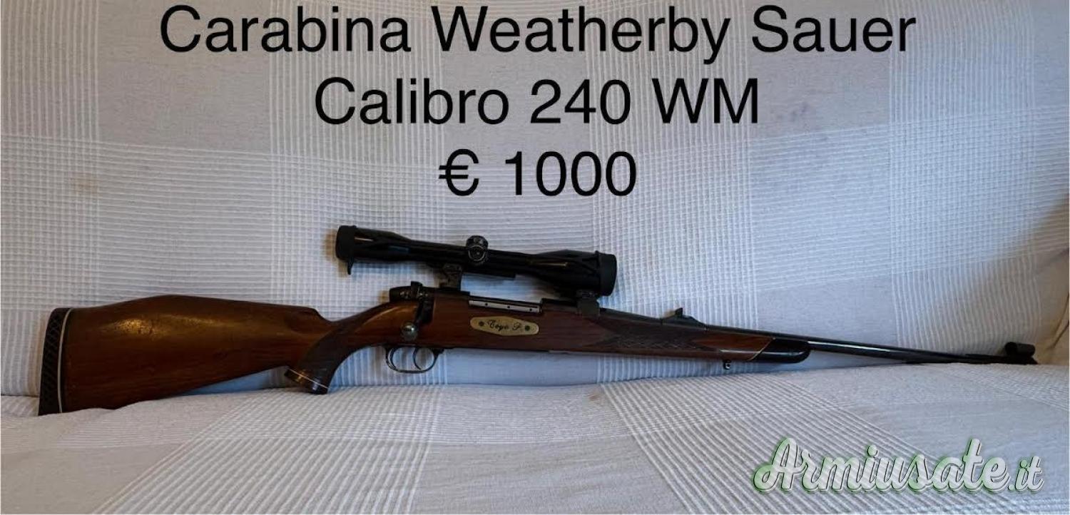 Weatherby europa .240 Weatherby Magnum Weatherby europa .240 Weatherby Magnum