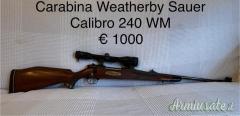 Weatherby europa .240 Weatherby Magnum