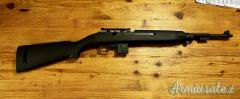 Chiappa Armi m1-22 .22 Long Rifle