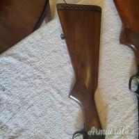 Franchi AL48 20