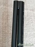 Beretta S54 EDIZIONE SPECIALE 12