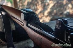 Ljungman Ag m/42B Fucile semiautomatico Svedese
