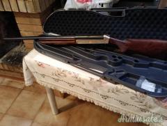 Benelli Federico 12