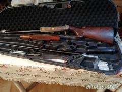 Benelli Federico 12