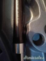 Benelli Federico 12