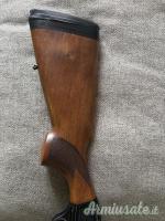 Beretta A301 20