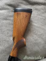 Beretta A301 20
