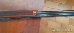 Rizzini Aurum  20
