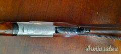 Rizzini Aurum  20