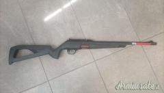 Winchester wildcat .22 Long Rifle