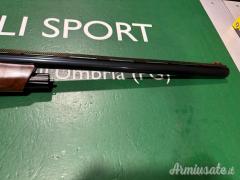 Benelli raffaello 12