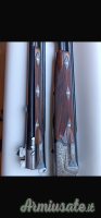 Piotti Armi Holland  12