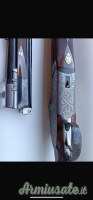 Piotti Armi Holland  12