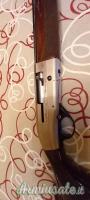 Berretta light  391 Al , calibro 12