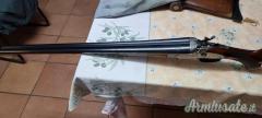Daffini  12