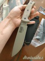 Esee 6