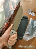 Esee 6