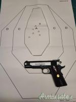 Para Ordnance Limited LDA  .45 ACP