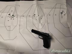 Para Ordnance Limited LDA  .45 ACP