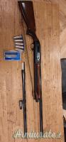 Beretta AL 391 URIKA 12