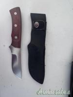 Coltello Fox