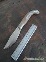 Arbus 23 cm