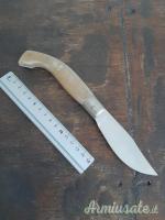 Arbus 23 cm