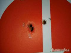 Tikka M690 .270 Winchester