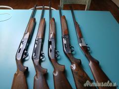 Benelli Beretta Semiautomatico 12 Francesco 3889457294