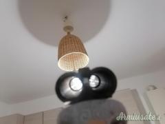 Vendo ho scambio con cal 20