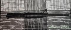 Bushmaster XM-15 ES .223 Remington