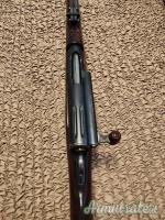 Fucile Rubin Schmidt svizzero Gew 11