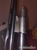 Beretta Urika cal20