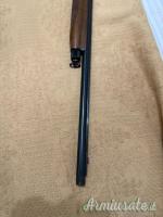 Benelli Pasion 12