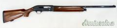 BERETTA A301 - 12
