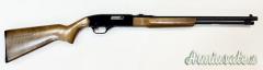 WINCHESTER 190 - 22 L.R