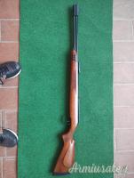 Diana 460 Magnum  5.5