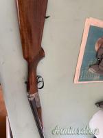 Bernardelli Elio 12