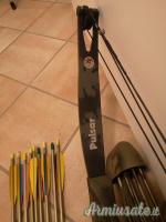 ARCO COMPAUND PSE PULSAR