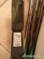 ARCO COMPAUND PSE PULSAR
