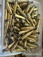 Bossoli cal. 308 Win
