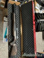 Hatsan bt65 5.5
