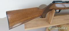 Beretta Sport .22 Long Rifle