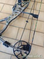 Arco Hoyt Compound 65lb