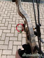 Arco Hoyt Compound 65lb