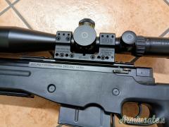 Accuracy AWSM .338 Lapua Magnum