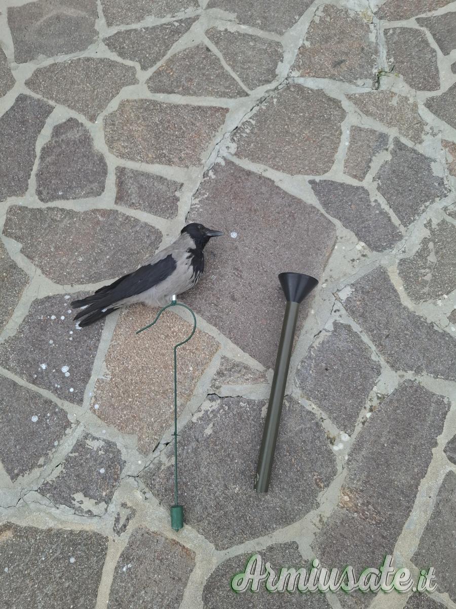 Cornacchia vedetta con supporto per pianta più imbuto. Cornacchia vedetta con supporto per pianta più imbuto.